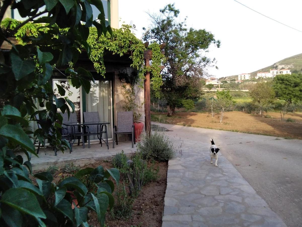 Αμυγδαλιές 33 Μύρινα 빌라 외부 사진